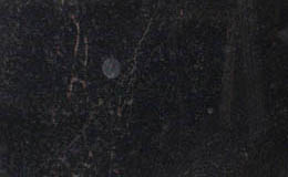Andes Black (Brazil) Andes Black (Brazil)